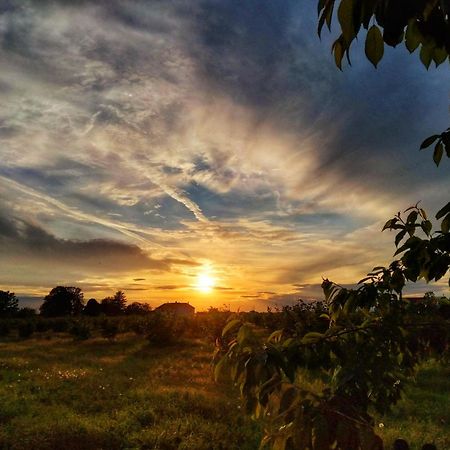 فندق La Fattoria Del Soul Bosco Marengo المظهر الخارجي الصورة