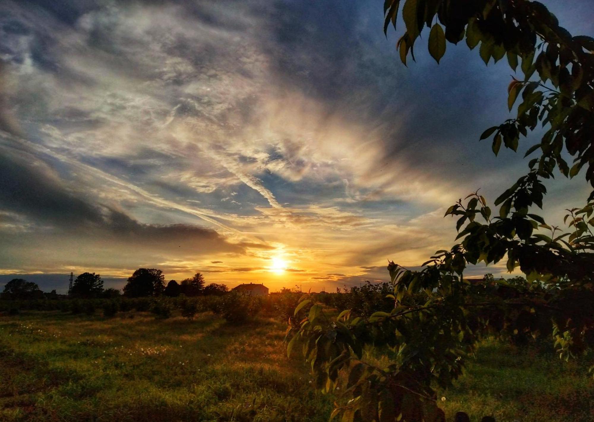فندق La Fattoria Del Soul Bosco Marengo المظهر الخارجي الصورة